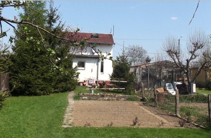 Lotek