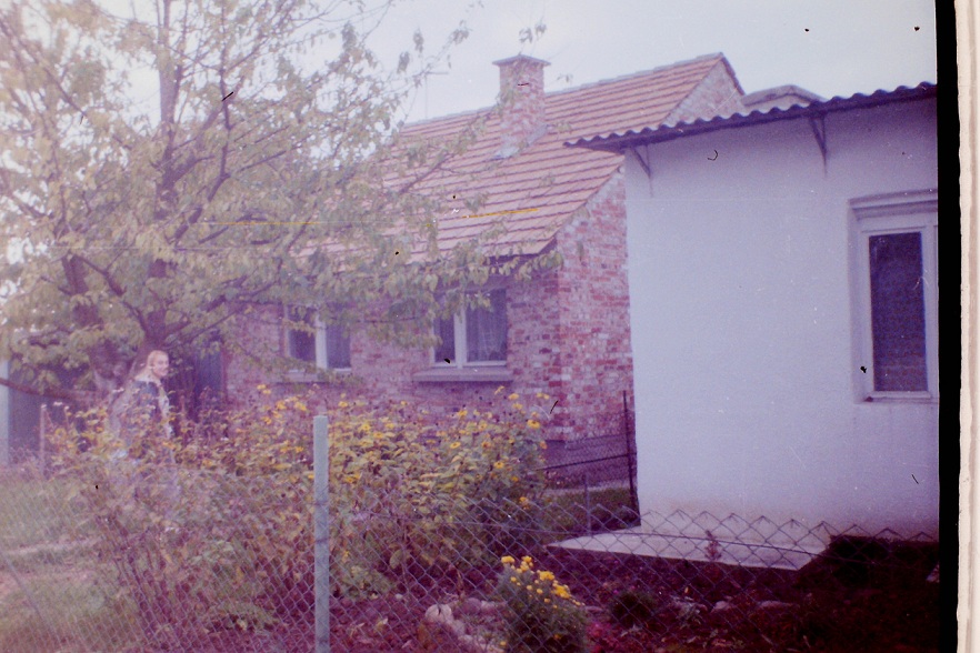 Lotek