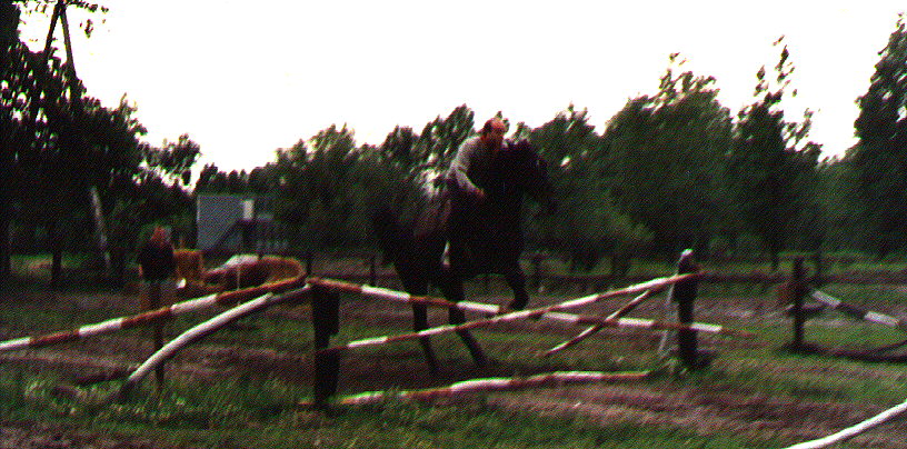 Lotek